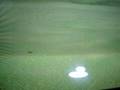 Tiger Woods PGA Tour 07 (Xbox)