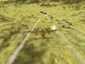 Air Conflicts (PC)