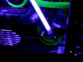 flOw (PC)