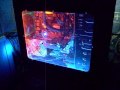 Zodiac (PC)