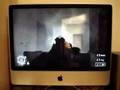 Call of Duty 2 (Macintosh)