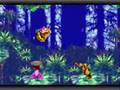 Donkey Kong Country 3 (Game Boy Advance)