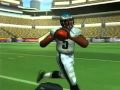 Madden NFL 06 (PlayStation 2)