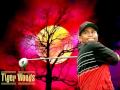 Tiger Woods PGA Tour (PSP)