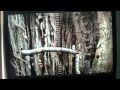 Samorost 2 (PC)