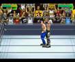 WWE Survivor Series (Game Boy Advance)