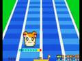 Hamtaro: Ham-Ham Games (Game Boy Advance)