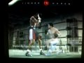 Fight Night 2004 (PlayStation 2)