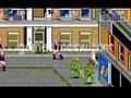 Teenage Mutant Ninja Turtles (PC)