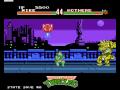 Teenage Mutant Ninja Turtles (PC)