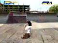 Tony Hawk's Pro Skater 4 (Macintosh)