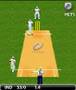 Cricket (Mobile)