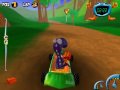 Pet Racer (PC)