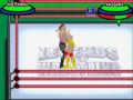 Legends of Wrestling II (Game Boy Advance)