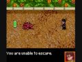 Harry Potter and the Chamber of Secrets (Game Boy Color)