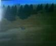 Road Trip (PlayStation 2)