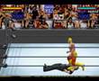 WWE Road to WrestleMania X8 (Game Boy Advance)