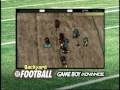 Backyard Football (Game Boy Advance)