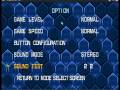 Mega Man X5 (PC)