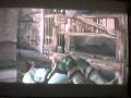 Eternal Darkness: Sanity's Requiem (GameCube)