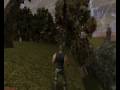 Gothic (PC)