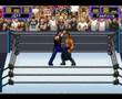 WWF Road to Wrestlemania (Game Boy Advance)