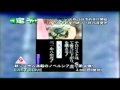 Last Alive (WonderSwan Color)