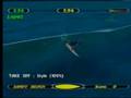 Championship Surfer (Dreamcast)