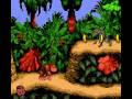 Donkey Kong Country (Game Boy Color)