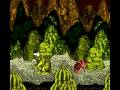 Donkey Kong Country (Game Boy Color)