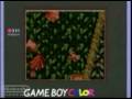 Donkey Kong Country (Game Boy Color)