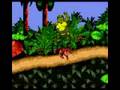 Donkey Kong Country (Game Boy Color)