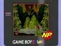 Donkey Kong Country (Game Boy Color)