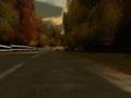 Ford Racing (PC)