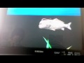 Seaman (Dreamcast)