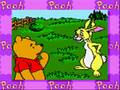 Winnie the Pooh: Adventures in the 100 Acre Wood (Game Boy Color)