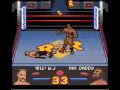 Ready 2 Rumble Boxing (Game Boy Color)