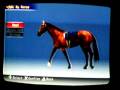 Gallop Racer (PlayStation)