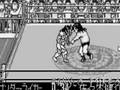 Shin Nippon Pro Wrestling: Toukon Retsuden (WonderSwan)