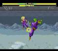 Dragon Ball Z Super Butouden (SNES)