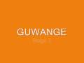 Guwange (Arcade Games)