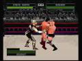 WWF War Zone (PlayStation)