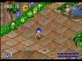 Sonic 3D Blast (PC)