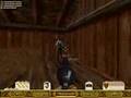 Outlaws (PC)
