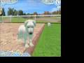 Dogz 2 (PC)