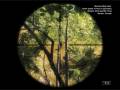 The Hunter (PC)