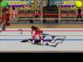 WWF In Your House (PC)