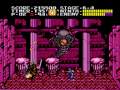 Ninja Gaiden Trilogy (SNES)