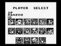 World Heroes 2 Jet (Game Boy)