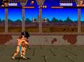 Shadow Fighter (Amiga)